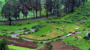 ooty pics