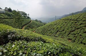 munnar