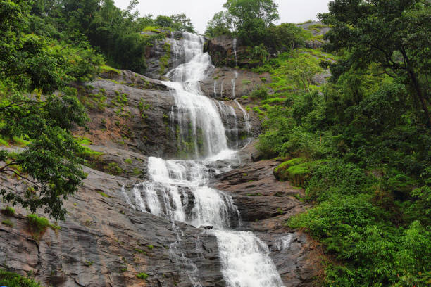 Cheeyappara Falls