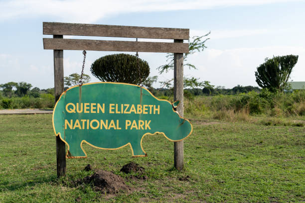 Safari in Queen Elizabeth National Park: