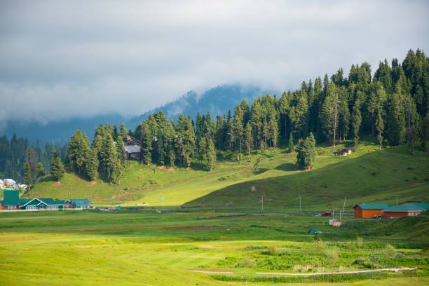 Sonamarg - The Meadow of Gold: