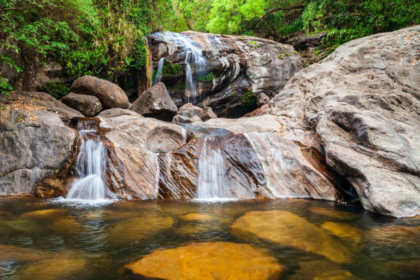 Thommankuthu Falls