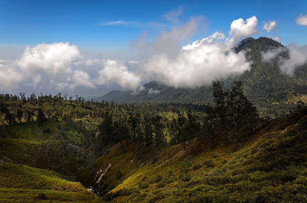 Valparai