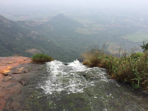 Vedanthangal