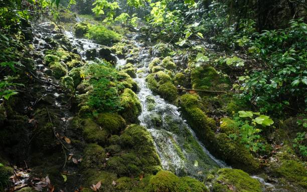 Riva Waterfall